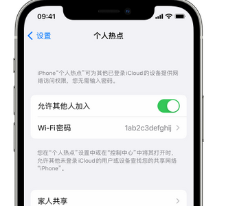 凉州apple服务站点分享iPhone上个人热点丢失了怎么办 