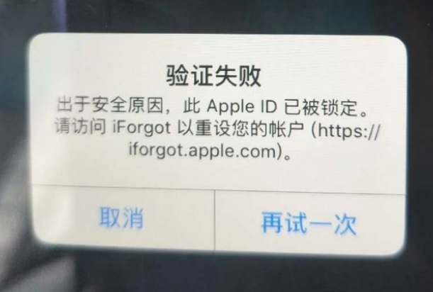 凉州iPhone维修分享iPhone上正常登录或使用AppleID怎么办 