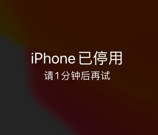 凉州苹果手机维修分享:iPhone 显示“不可用”或“已停用”怎么办？还能保留数据吗？ 