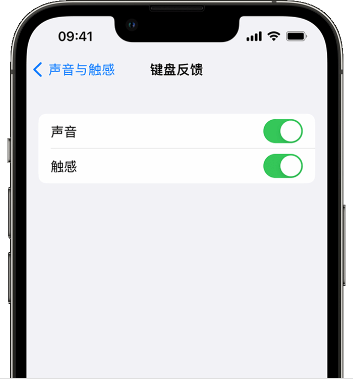 凉州苹果14维修店分享如何在 iPhone 14 机型中使用触感键盘 