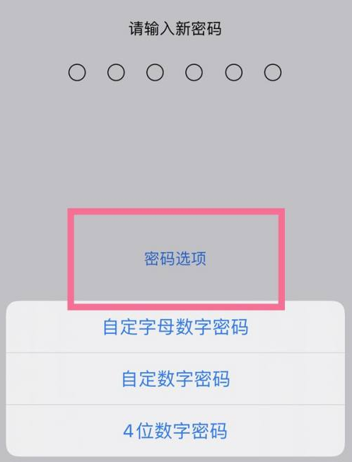 凉州苹果14维修分享iPhone 14plus设置密码的方法 