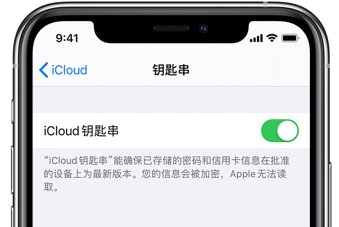 凉州苹果手机维修分享在 iPhone 上开启 iCloud 钥匙串之后会储存哪些信息 