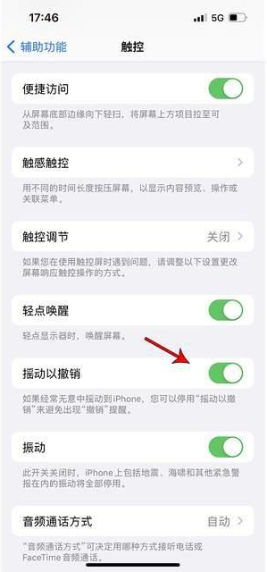 凉州苹果手机维修分享iPhone手机如何设置摇一摇删除文字 