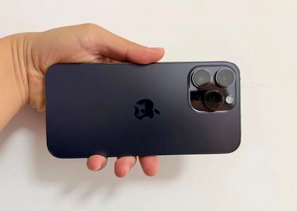 凉州苹果维修点分享iPhone 14 Pro Max黑屏少见故障盘点 